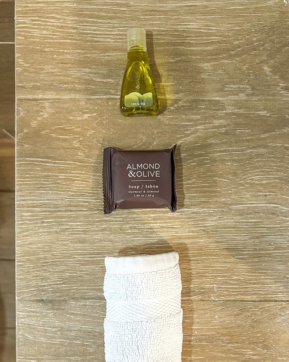 Classic Room | Bathroom amenities | Shower, hair dryer, towels, soap