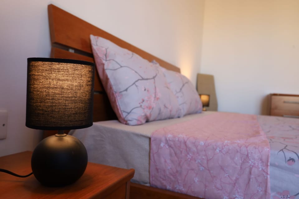 Apartment, City View | Blackout drapes, iron/ironing board, WiFi (free)