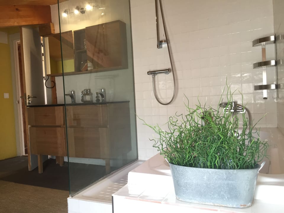 Premium Double Room | Bathroom | Free toiletries, hair dryer, towels