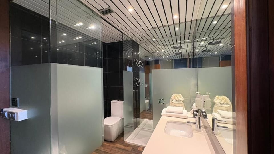 Towels, soap, shampoo, toilet paper