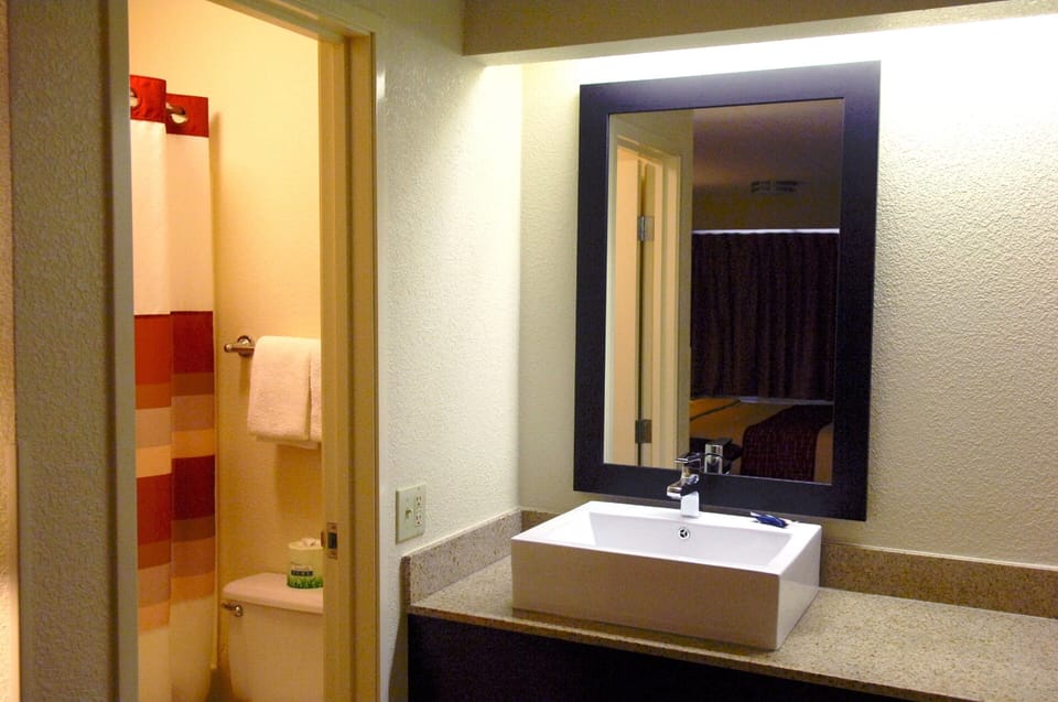 Eco-friendly toiletries, hair dryer, towels