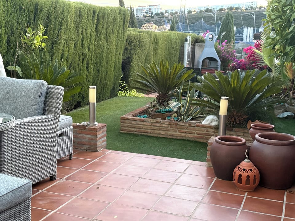 View down garden