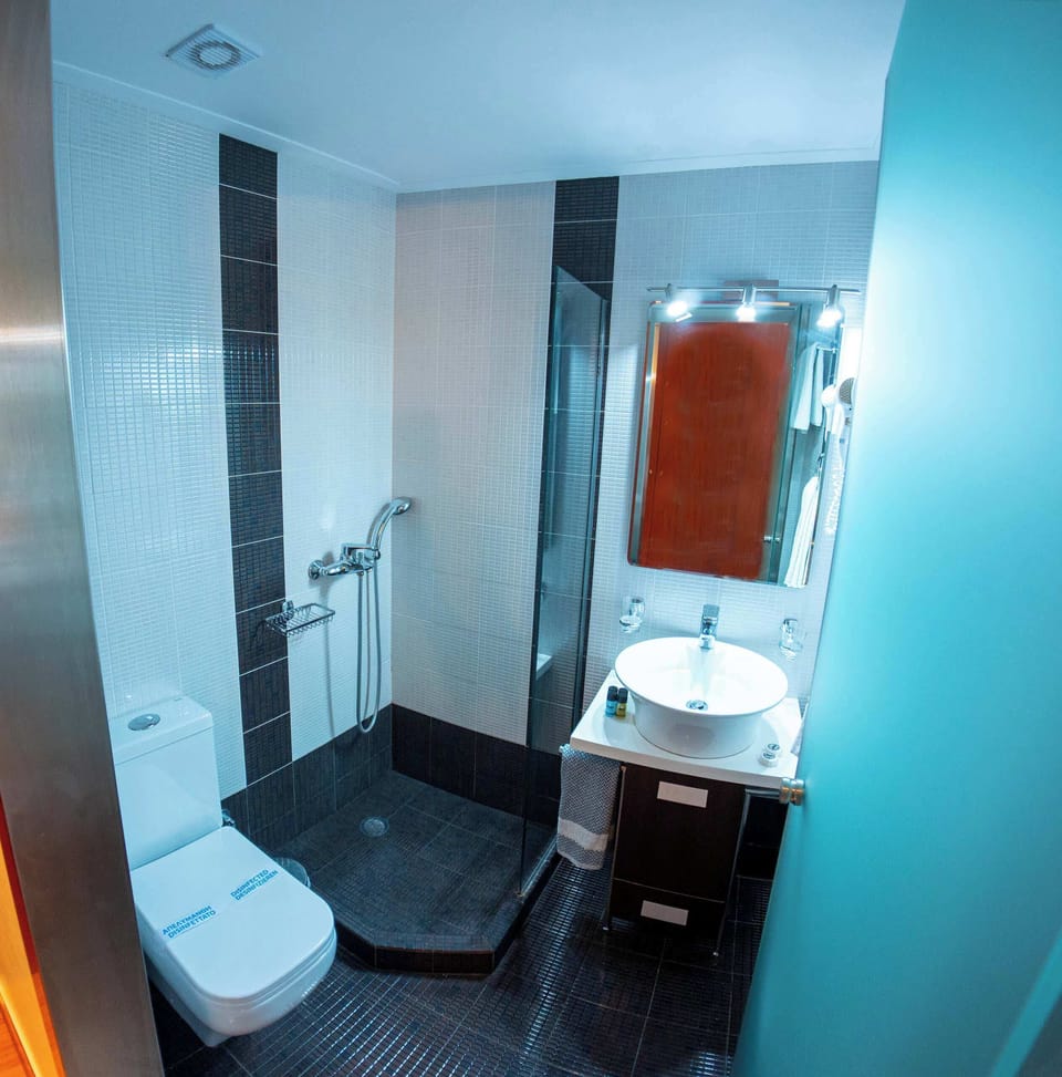 Private en-suite bathroom with a modern shower, fresh towels, toiletries, and a hairdryer, everything you need for a smooth and comfortable stay with hotel-style ease
