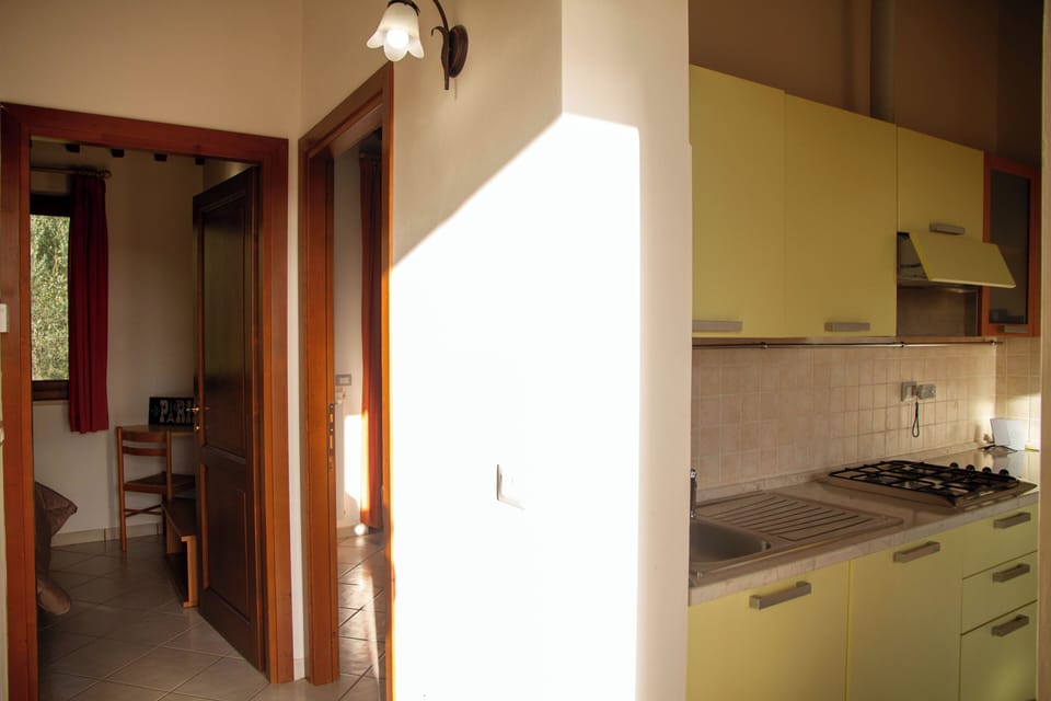 Apartment, Balcony, City View | Private kitchen