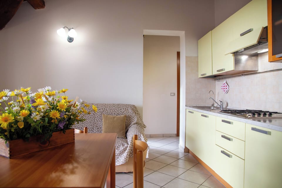 Apartment, Balcony, City View | Private kitchen
