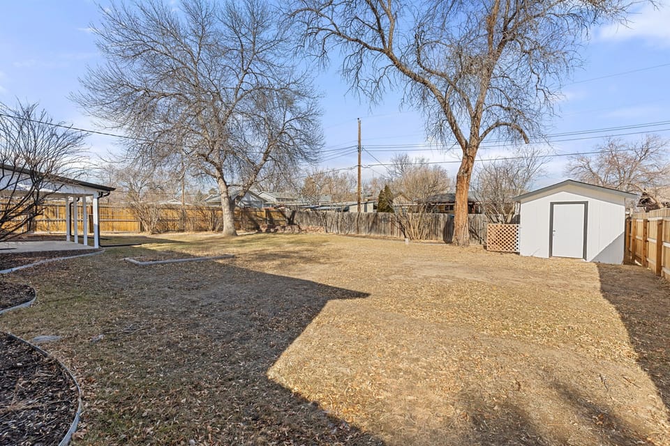 Backyard