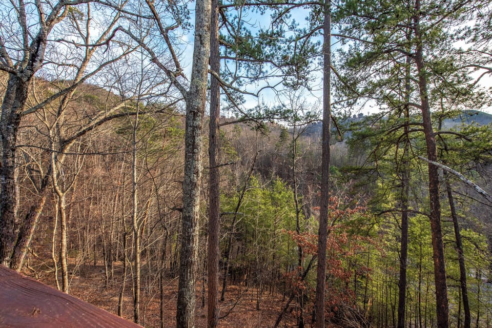 Mountain views stretch endlessly through towering trees, creating a peaceful forest backdrop for the property's natural setting.