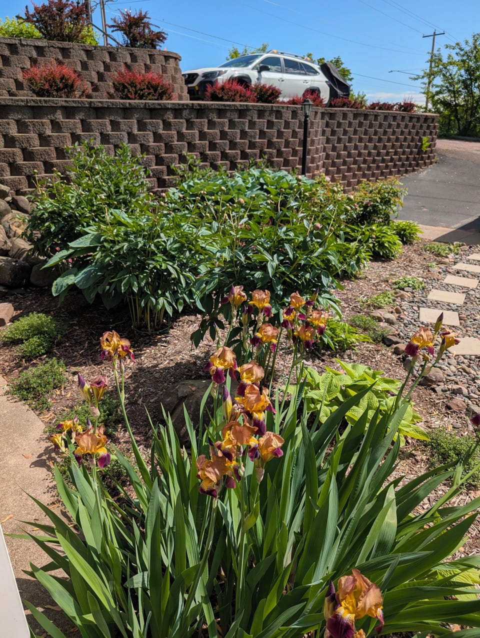 Flowers in front of patio