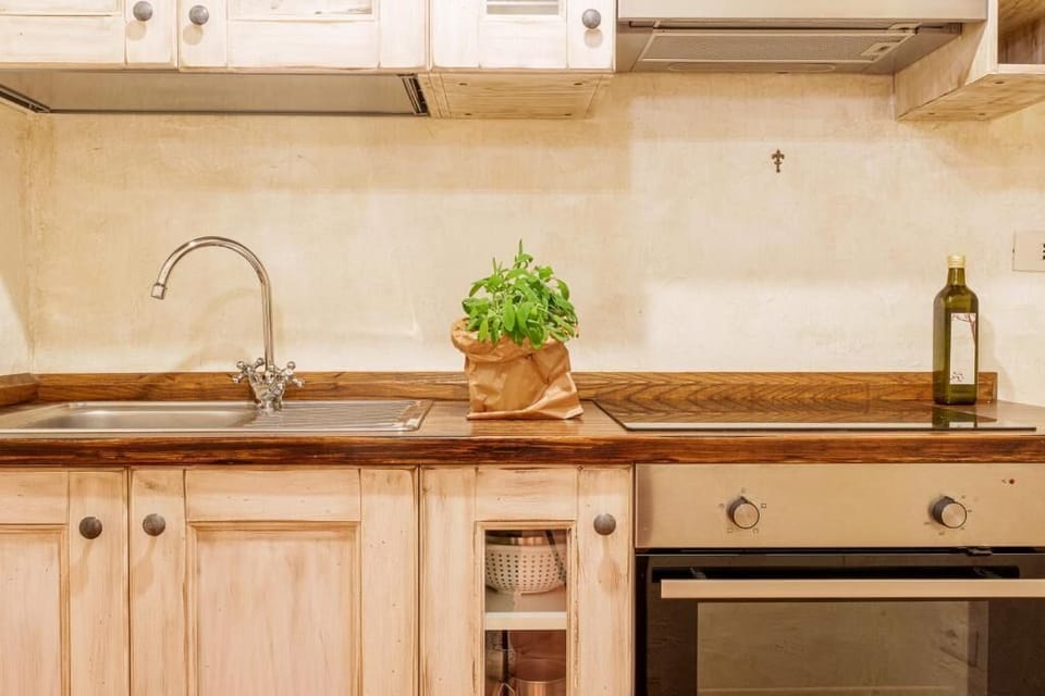 Fridge, oven, stovetop, cookware/dishes/utensils