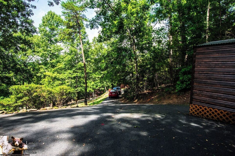 Looking down the driveway