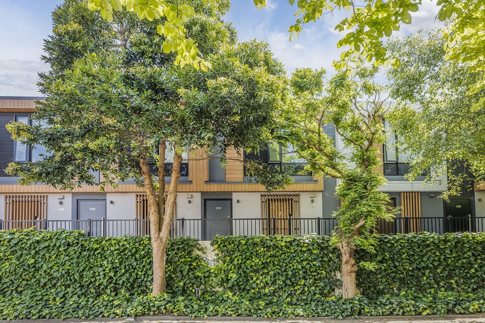View from the Tree lined street