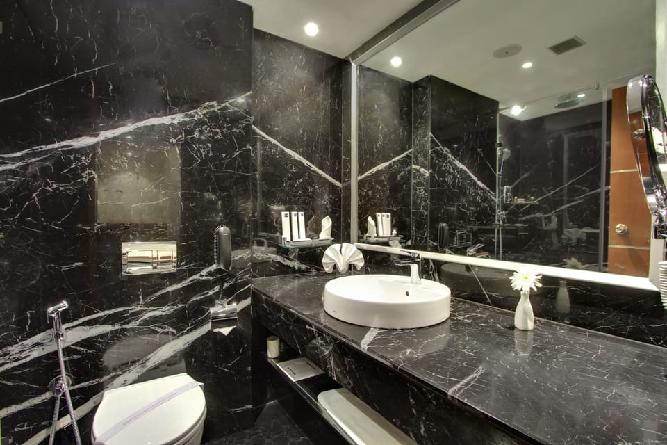 Shower, hair dryer, slippers, bidet