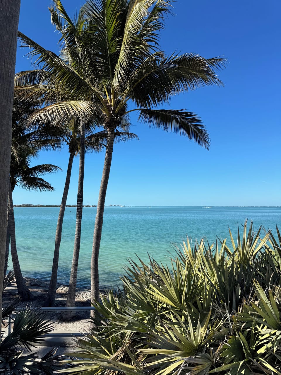 One of many beaches nearby