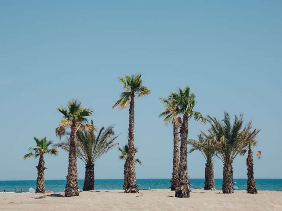 Beach