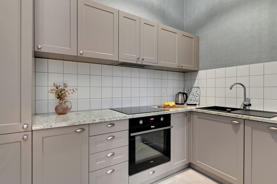 Classic Apartment | Private kitchen | Fridge, oven, stovetop, dishwasher