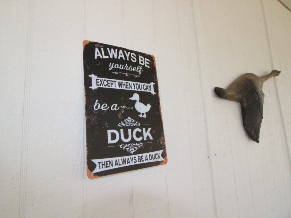 When you can, Always be a Duck!