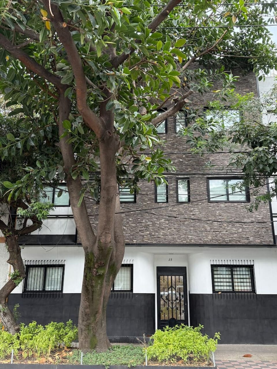 Exterior