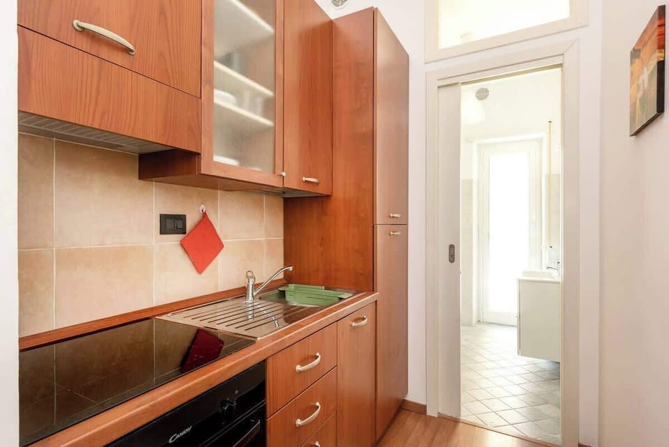 Induction stove and oven