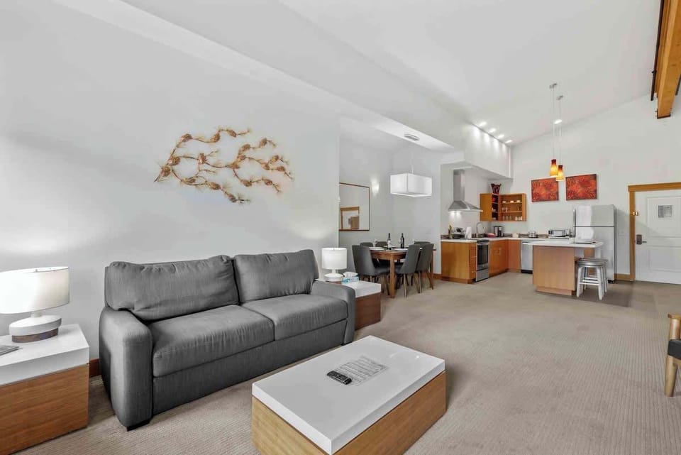Living - Kitchen Area