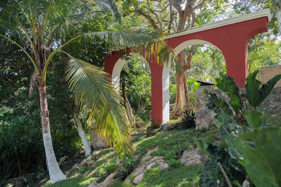 View of jungle and waterfall