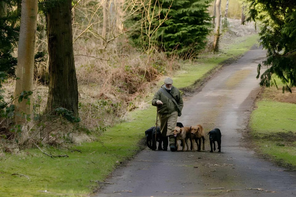 Trail Walking - Available by arrangement
