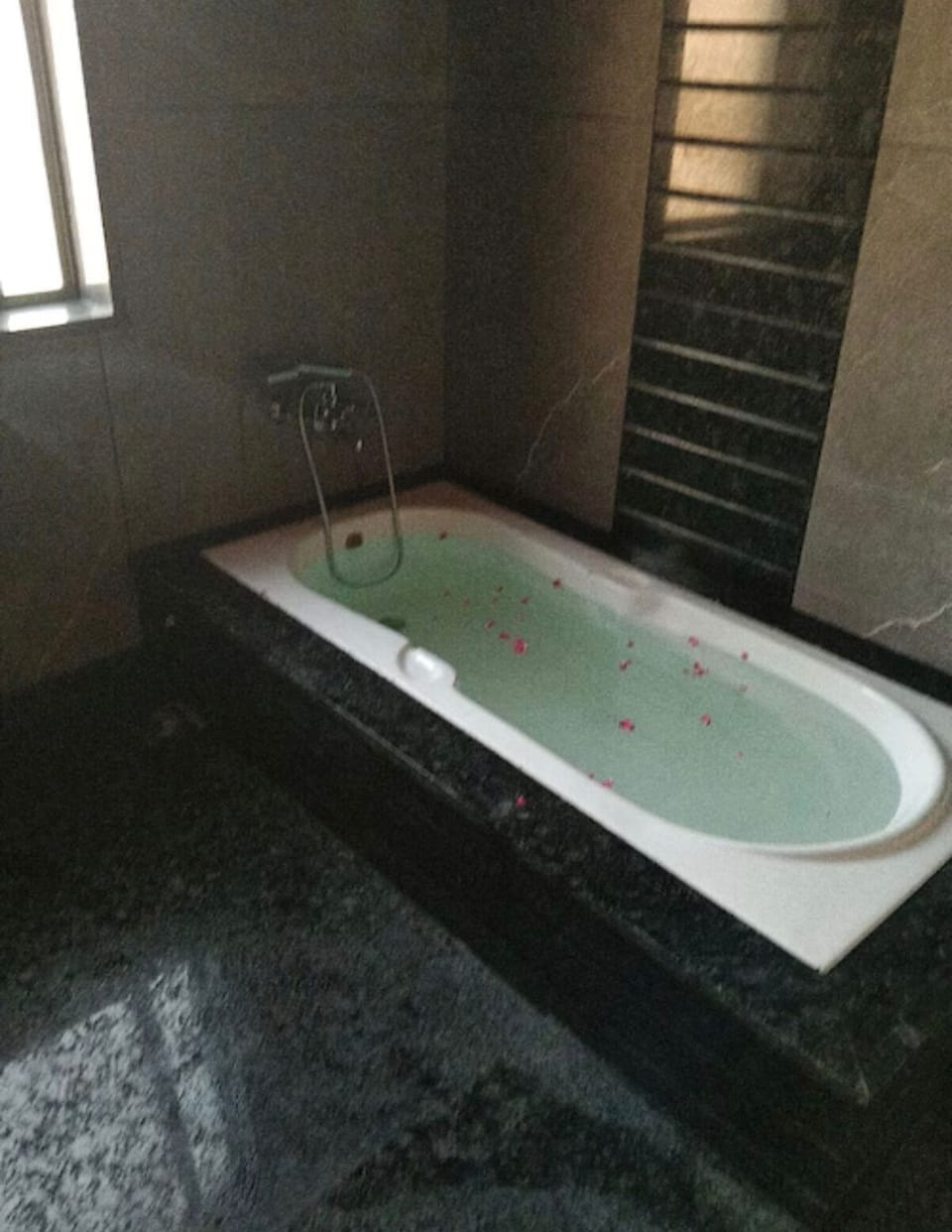 Basic Studio Suite, City View | Bathroom | Separate tub and shower, hydromassage showerhead, designer toiletries