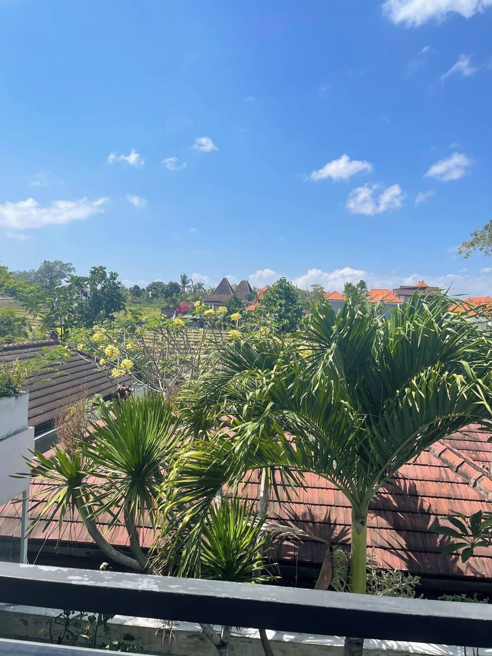 Villa, 3 Bedrooms, Smoking, Private Pool | Property grounds