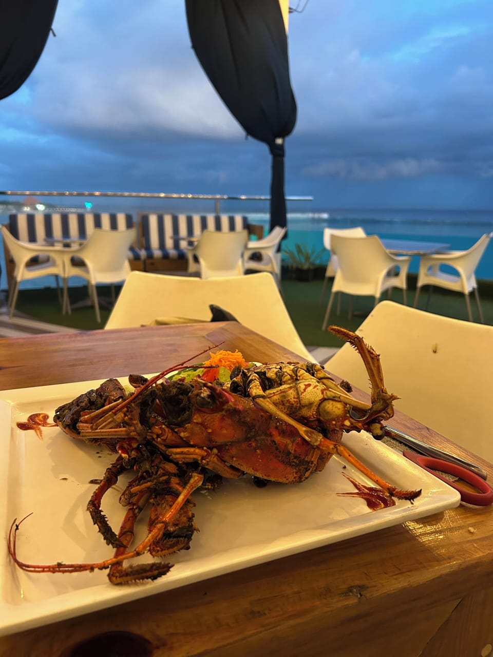 My favorite …2 pound Caribbean lobster for  $15