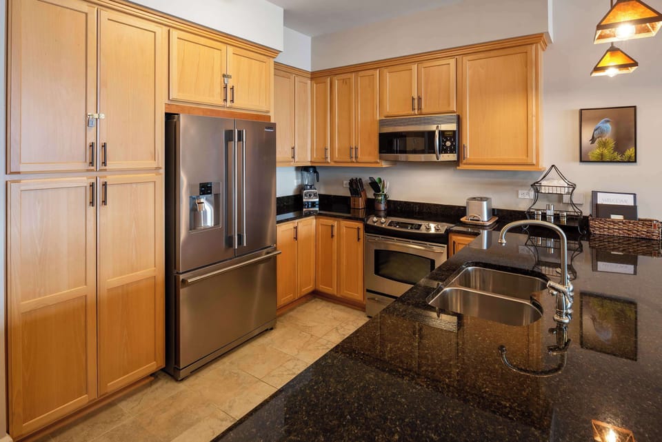 Fully stocked kitchen with all the appliances you could need 