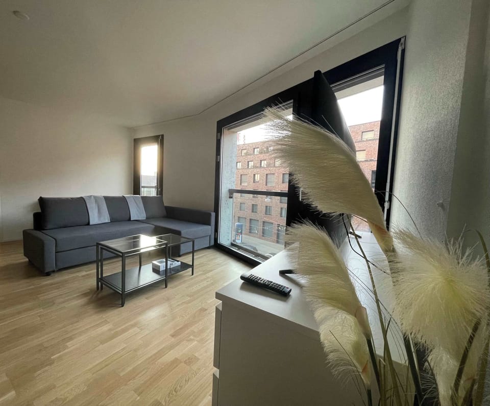 Living room / bed sofa