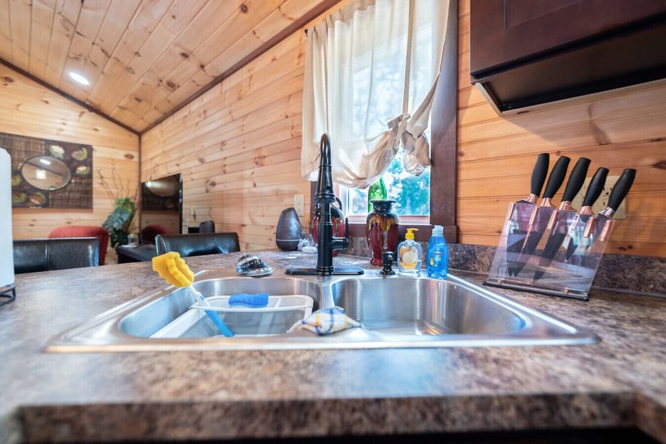 Kitchen | Stainless Sink |Cleaning Supplies