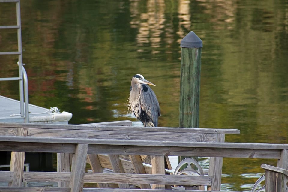 The canals are great for spotting wildlife.