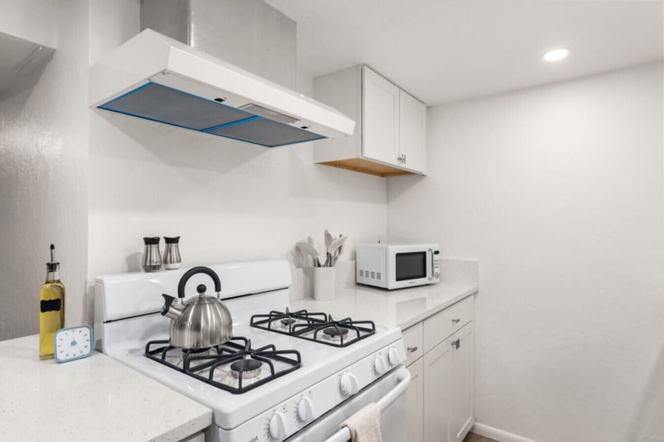 Gas Stove