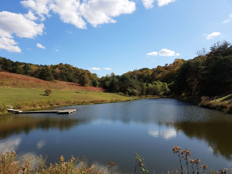 View of property pond