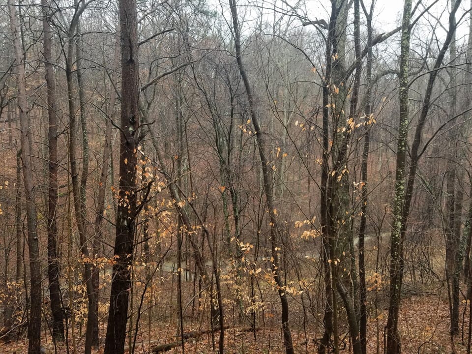 View from front porch