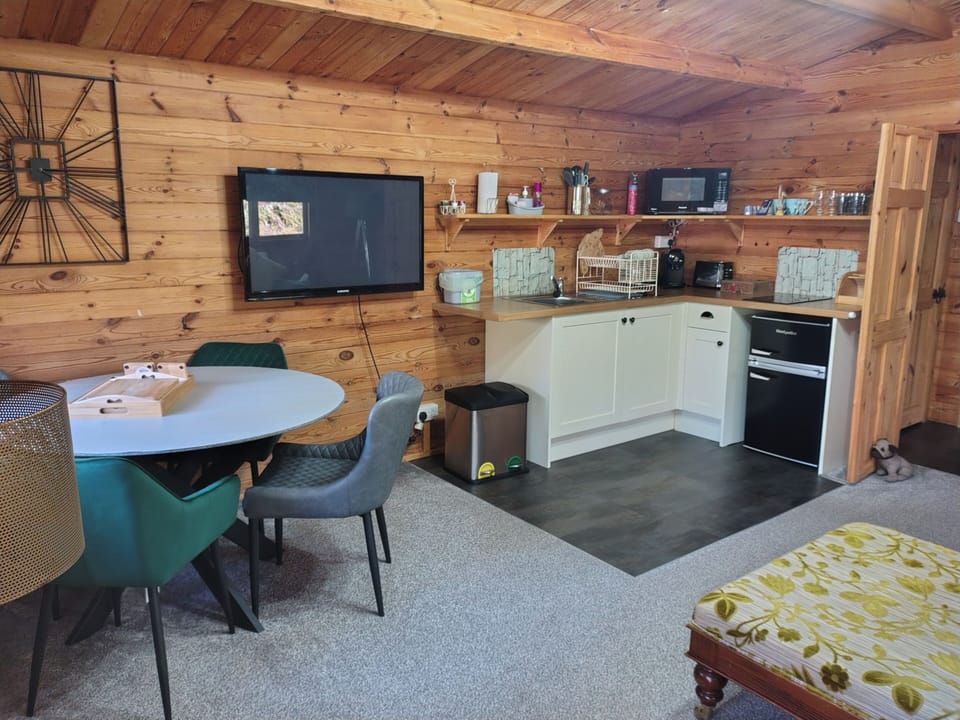 Kitchen area and lounge area 