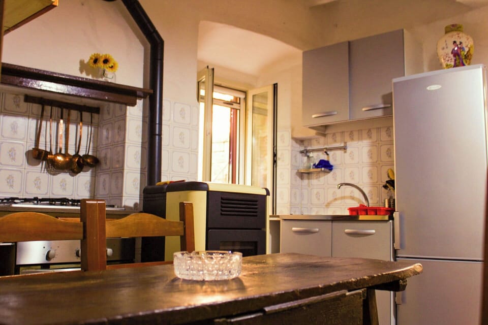 Apartment, City View | Private kitchen