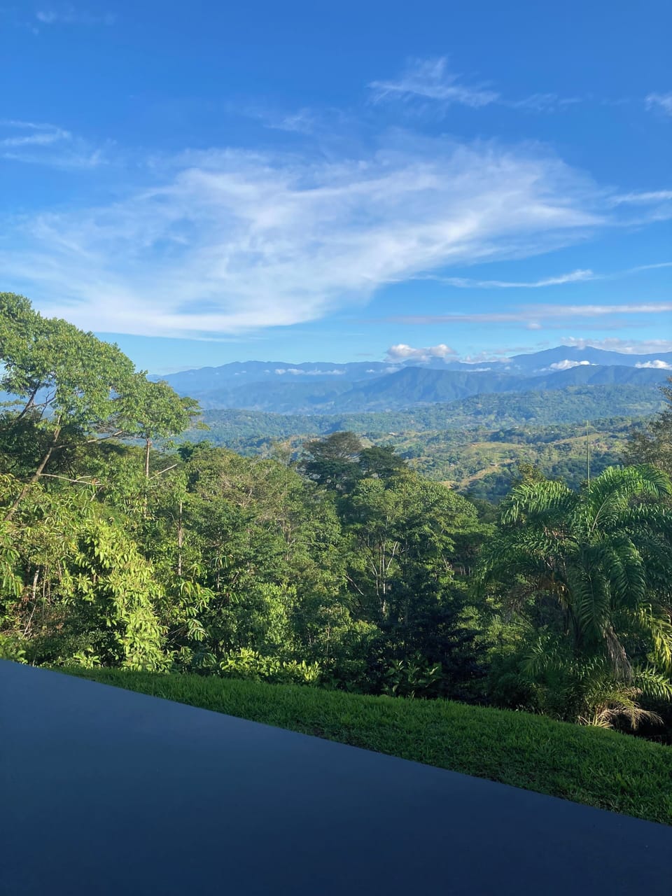 View from property