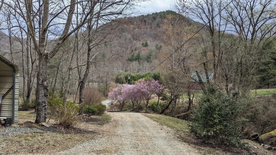 Entrance Early Spring