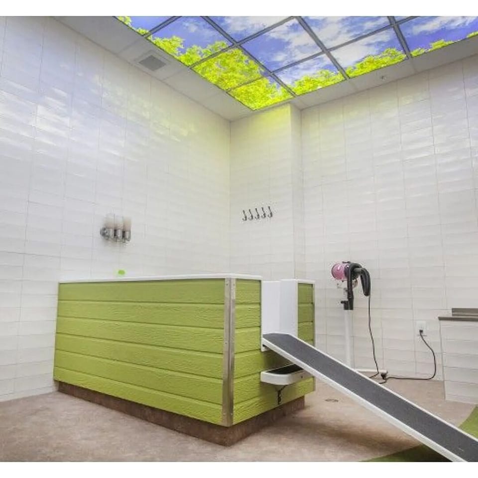 Pet-friendly amenities