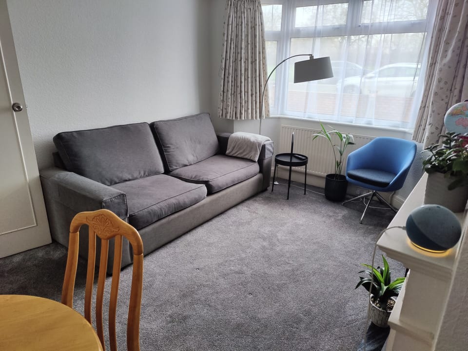 Living room with TV , board games and sofabed closed.