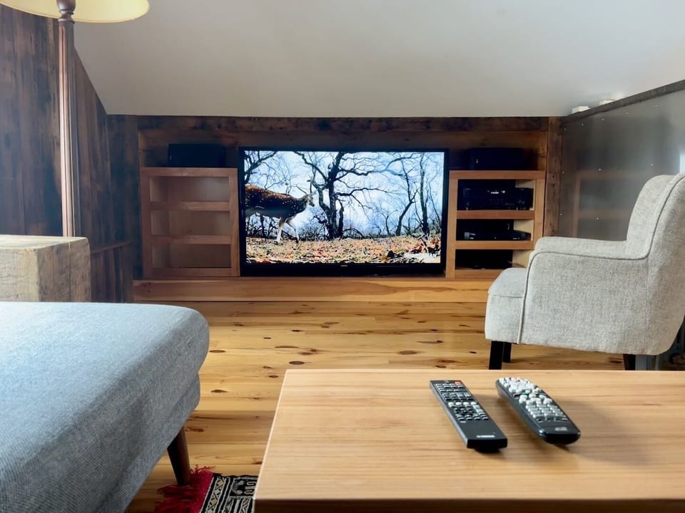 high def TV in the Attic