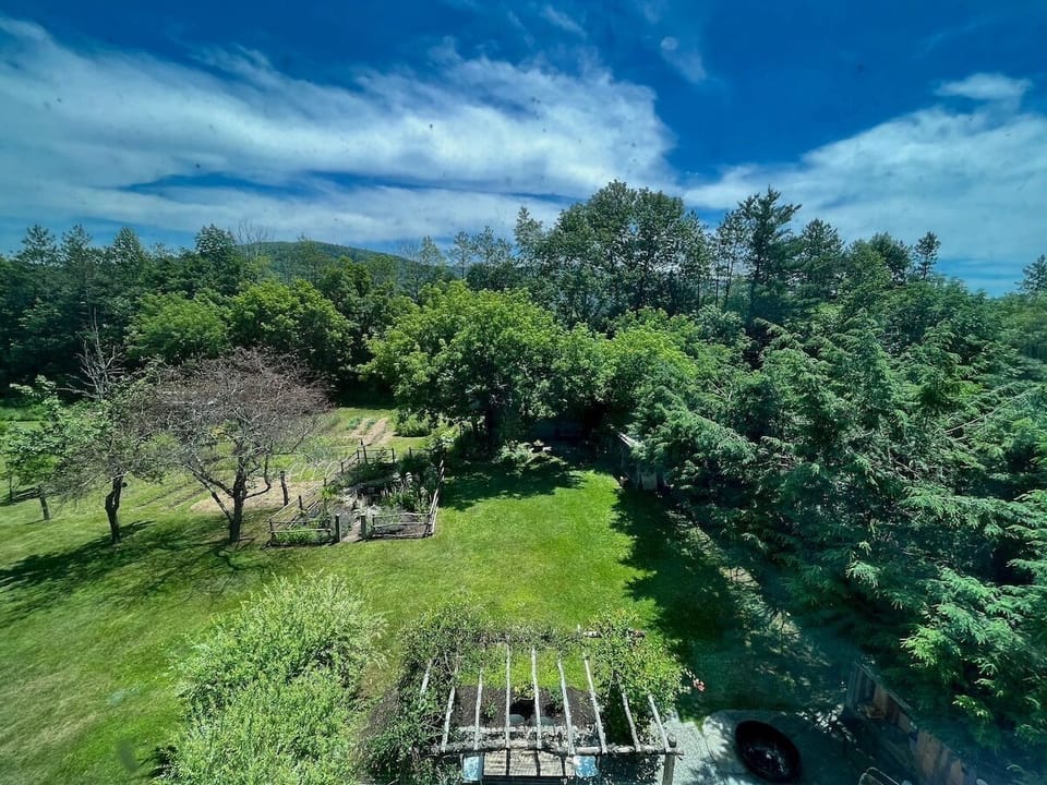 Summer views from the attic!