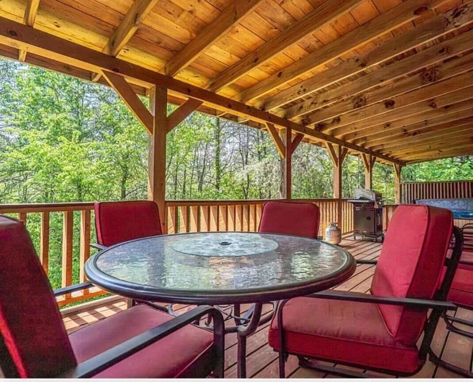 Back deck, grill, and sitting area 