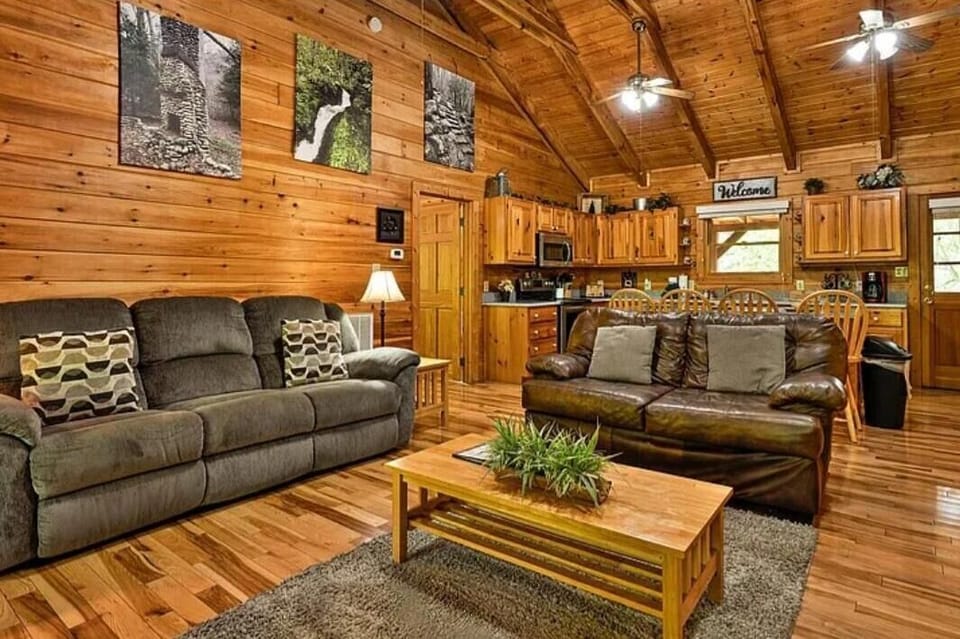 living room, kitchen area.