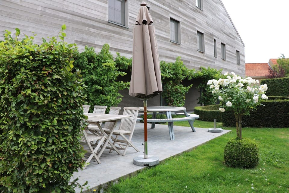 Garden [summer]