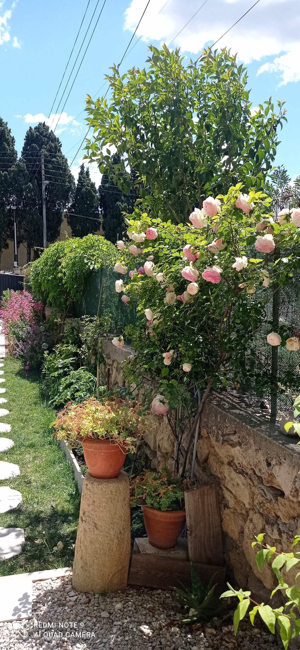 Nice little house with garden and pool House in Provence-Alpes-Côte d'Azur
