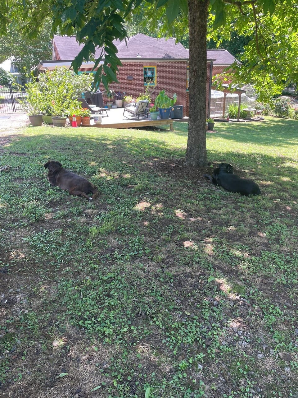 Property grounds