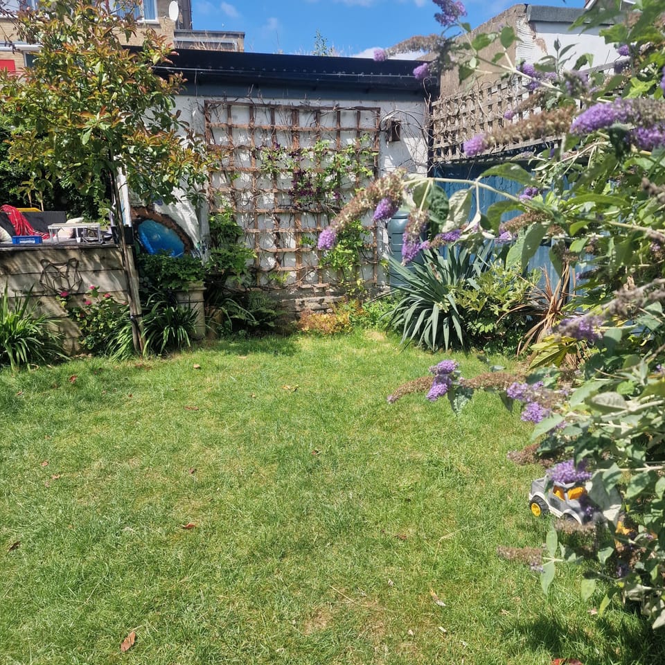 Back garden