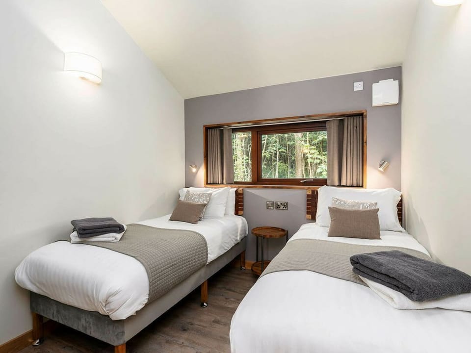 Glentress Forest White Willow Premium Valley View